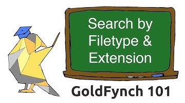 GoldFynch 101 - Search by File Types (with Extensions and MIME Types)
