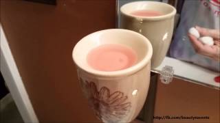 How to Clean your Scentsy Warmers the Easy Way!