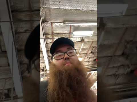 Boltster review
