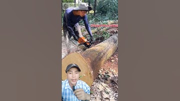 anh chàng có kỹ năng cưa khúc gỗ thành nhiều khúc nhỏ #shorts