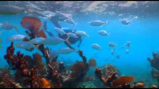 Be One With Belize Part 2 - The Sea of Belize.mp4