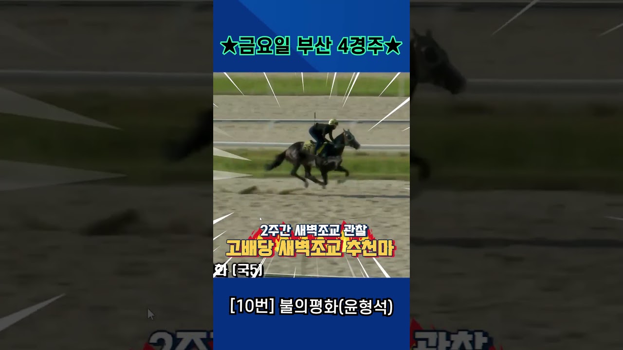 8월7일 금요일 부산 4경주!! 2주간 훈련보인 강백호의 새벽조교 쏘스마!!