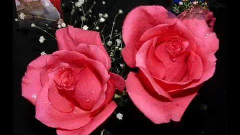 Paper Roses Vera Lynn & Sue Thompson, Floyd Cramer