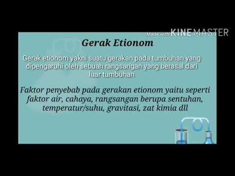 pjj-materi-ipa-kelas-8-smp-citra-negara-by.-istianah