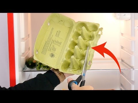 Thumbnail for NEVER Toss Your Egg Cartons Out – It's Amazing What You Can Do With Them!