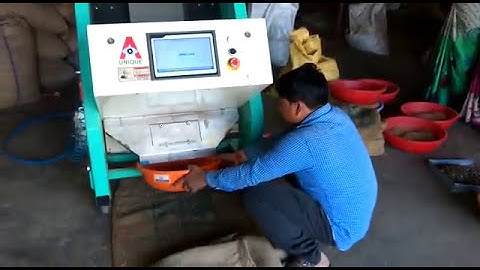 Peanut Color Sorter Machine | Peanut color sorter | Call at 09896327066 Unique carter group