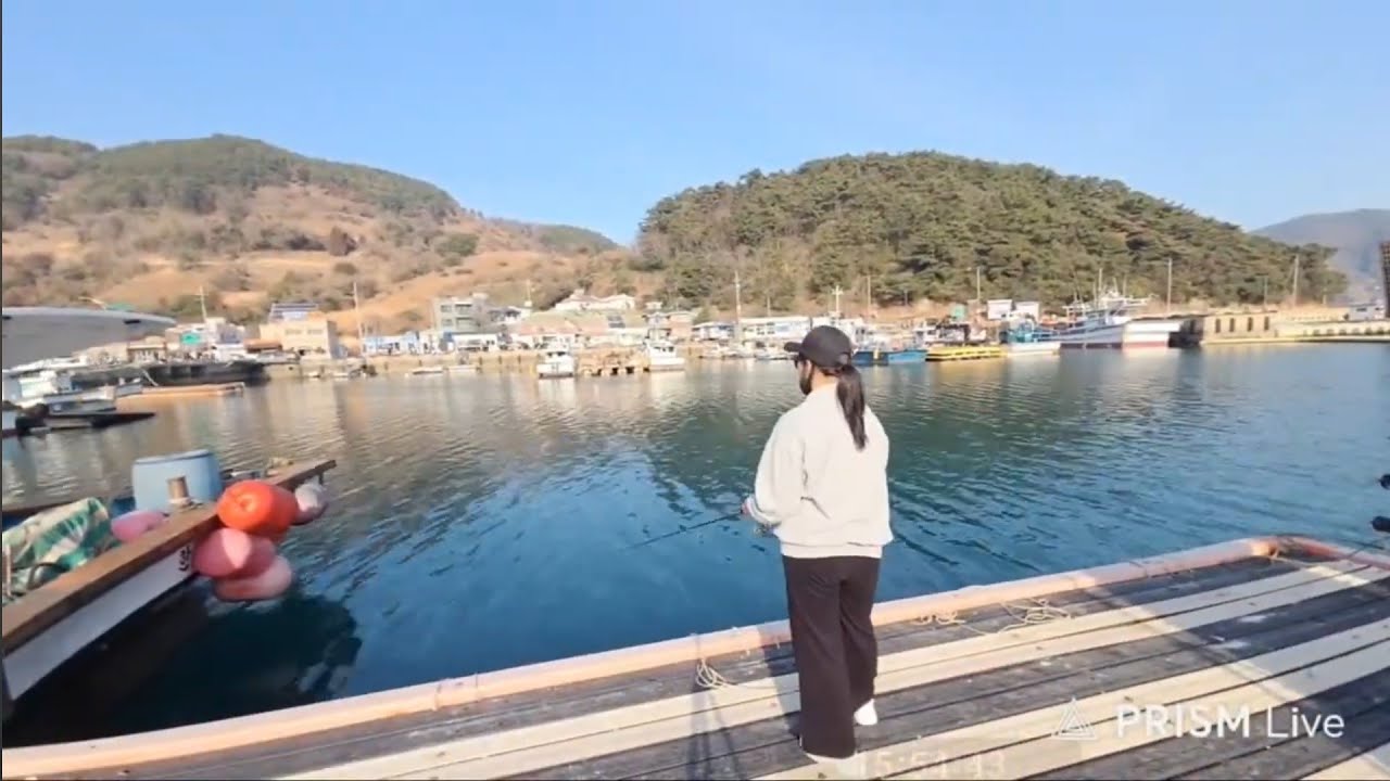 욕지도편 학꽁치/볼락25cm/타작후 똥바람철수 @보미야낚시가자  @일하는낚시꾼 