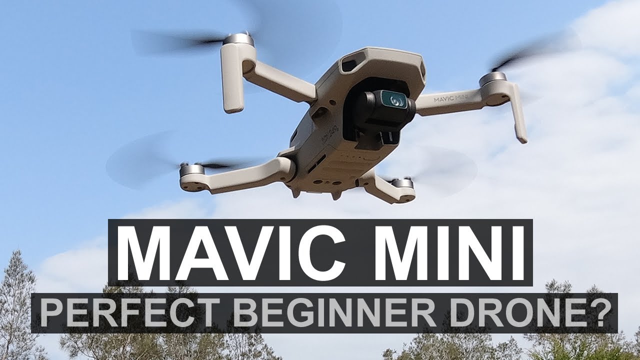DJI Mavic Mini In-Depth Review: The Ultralight Drone for Every Creator