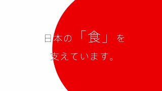 遺伝子組換え作物は日本の食を支えています