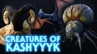 The Creatures of Kashyyyk