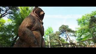 OUWEHANDS DIERENPARK IN NETHERLAND HIGHLIGHTS filmed with DJI Osmo Pocket 3
