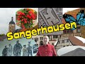 Harz  sangerhausensehenswrdigkeitenrosarium stadtrundgangulrichkirche.reisefhrer