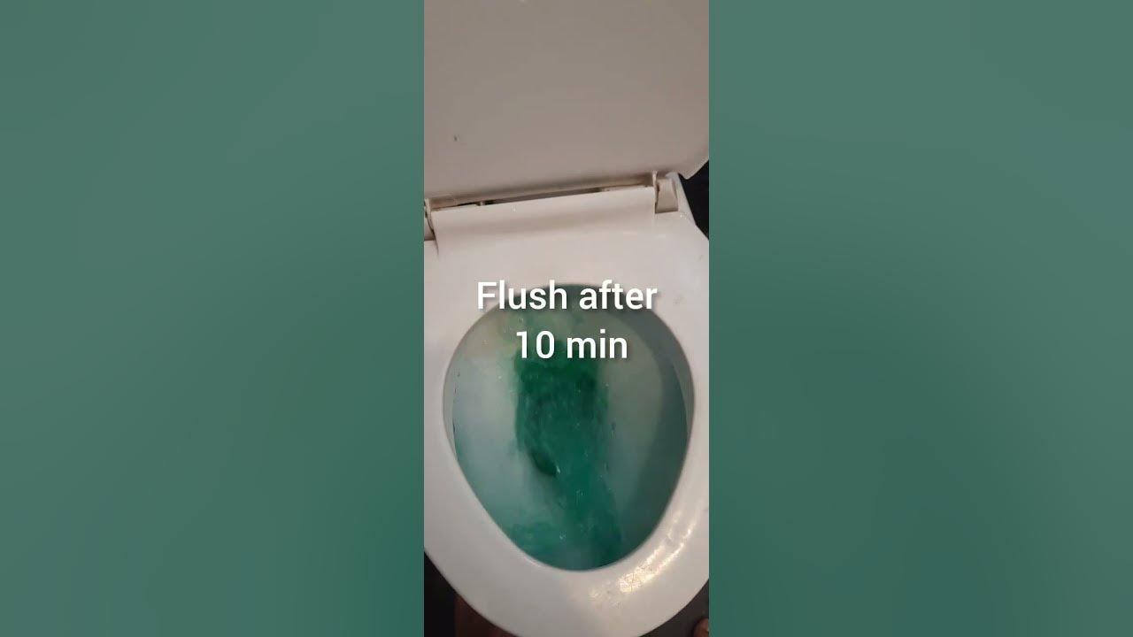 How to remove Cistern Lid How to use Harpic flushmatic Double flush