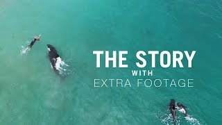 The Story - Orcas approach swimmer EXTRA FOOTAGE