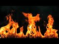 Fire background without sound