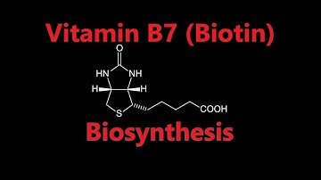 Vitamin B7 (Biotin) Biosynthesis