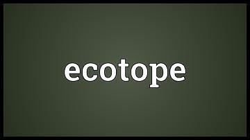 Ecotope Meaning