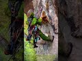 Amazing Wild Cliff Honey Harvest: The Art of giant Honeycomb Harvesting satisfaction