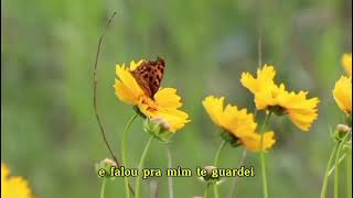 Filho Eu Te Guardei Cidinha Silva