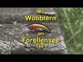 Wobbler am Forellensee (Teil 1)