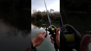 Savage Gear sg8 250 BC LH casting reel and Shimano SLX casting rod.