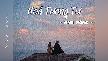 HOÁ TƯƠNG TƯ - | ANH RỒNG | [ LYRICS ] 「 TBD DNZ 」