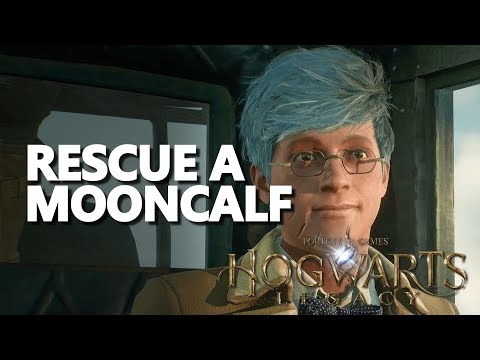 Video: Co znamená mooncalf?