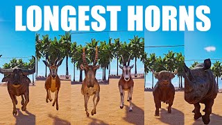 Animals with Long Horns Speed Races in Planet Zoo included Highland Cattle, Oryx Rhino Saiga Buffalo