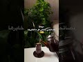 نصائحي لأختي كل ما أخبرها .. #اكسبلور #الشعب_الصيني_ماله_حل #تحشيش #ترند #اضحك #funny #viral #tbt