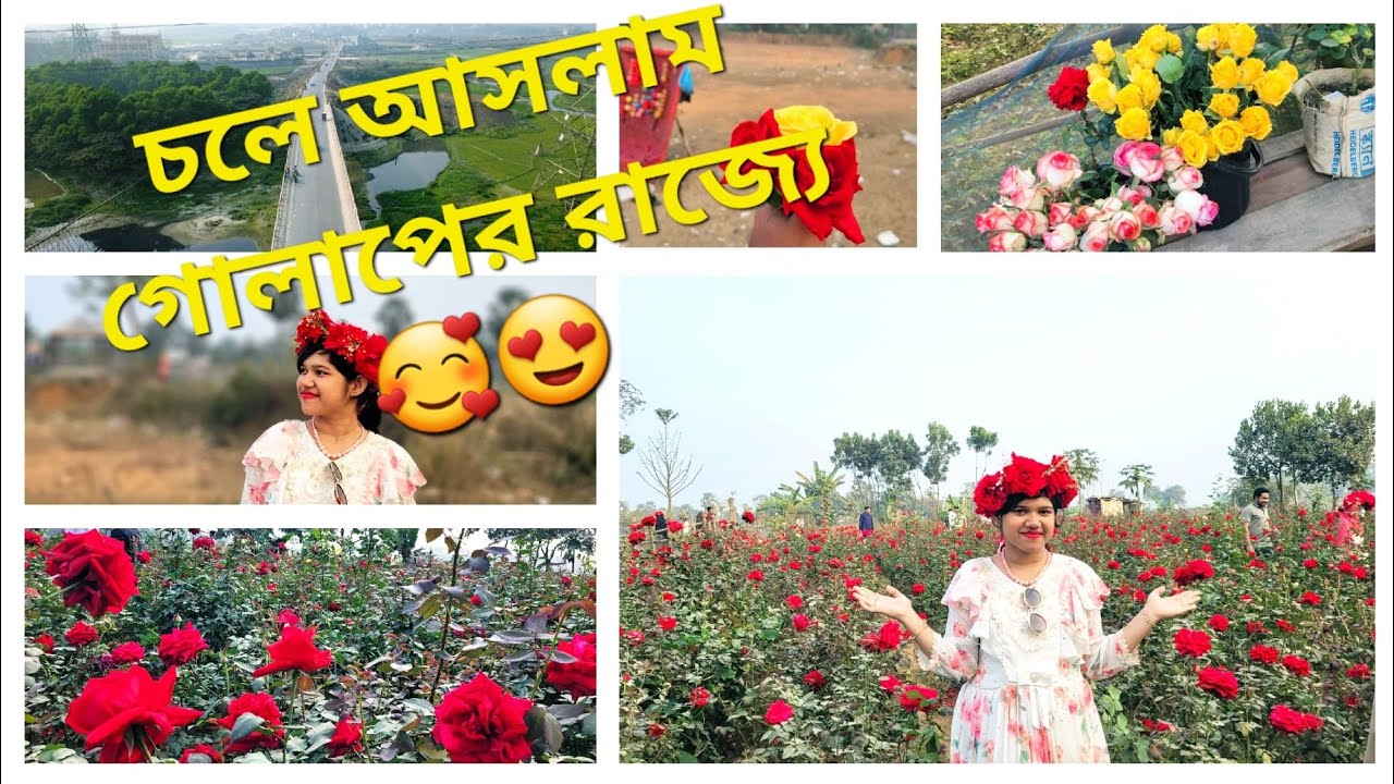 গোলাপের রাজ্যে একদিন | Savar Biruliya Golap Gram Vlog