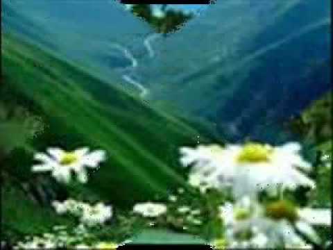 الشيخ ياسر الدوسري سورة الرحمن مقام العجم
