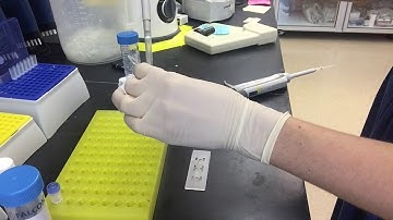 Loading beads into the c-chip (counter)