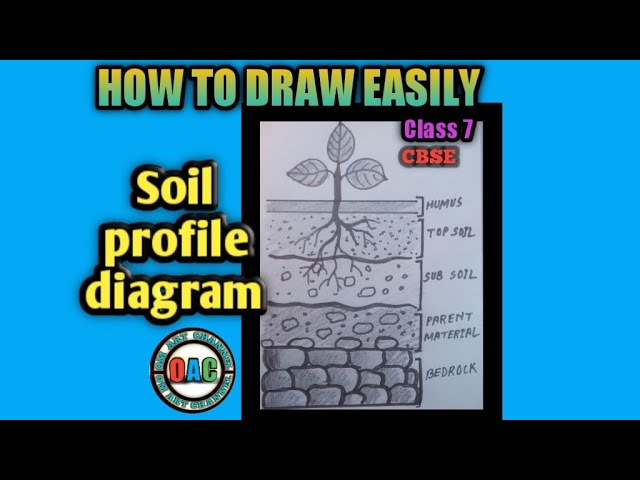 210 Soil Profile Illustrations RoyaltyFree Vector Graphics  Clip Art   iStock  Soil layers Soil cross section Sun