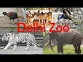 All animals that are found in Delhi Zoo