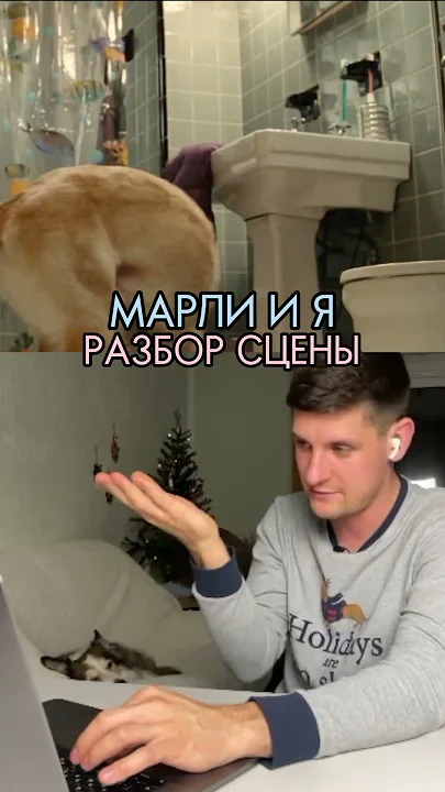 Успели посмотреть полный разбор на Твиче?) Вырезки со сценами есть для премиум подписчиков на Бусти)