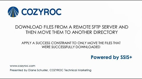 SSIS File Transfer task. How to download files from a remote SFTP server to a Local server | COZYROC