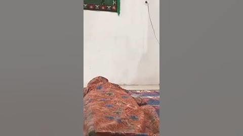 Detik detik badar bangkit dari mayatnya dilangkahi kucing