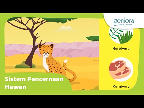 Proses Pencernaan pada Hewan - Sistem Pencernaan Hewan | IPA Kelas 5 SD | Geniora SayaBisa