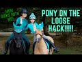 PONY ON THE LOOSE!  *Dramatic* forest ride with my Mum!