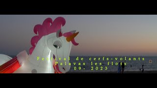 Festival Cerfvolant Palavas les Flots by Neotuxedo LEE 71 views 7 months ago 1 minute, 35 seconds