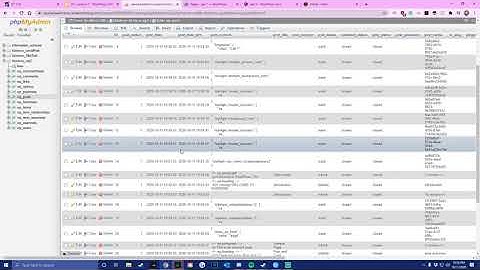 How WordPress Stores Data