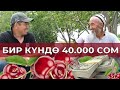 КИРЕШЕЛҮҮ БИЗНЕС! КОКОН ГИЛАС БИЗНЕС БАШТАГЫЛА!