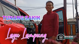 Tunang Sakik - Nuridosia ( Video Music) Lagu Lampung