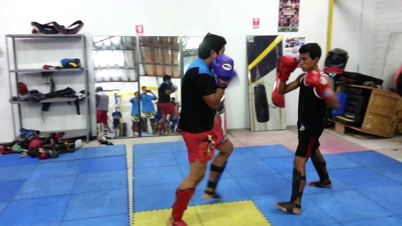 Revision de tibiales o canilleras para entrenar Muay Thai kick boxing y MMA  