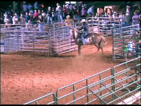 Clarke County Fair 2009 Cowgirl Barrel Race www.twistedkprobullrides.com