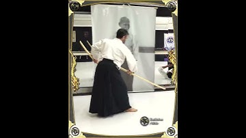 AIKIDO-RYOTEDORI TENCHI-NAGE: KIHON AND RIAI EXPLORATION