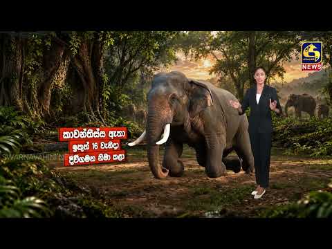 මෙරට වනාන්තර අභිමානයෙන් බැබළවූ සුප්‍රකට දළ ඇතුන්ට සිදු වූයේ කුමක්ද..?