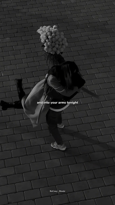 Into Your Arms - Witt Lowry | lyrics | whatsapp status | aesthetic | edit | slowed