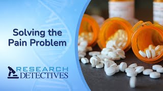 Solving The Pain Problem  Research Detectives