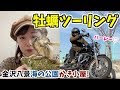 【牡蠣ツー】ハーレーに乗ってプリプリな牡蠣を食べに行く！そして飲酒！最高かよー🤤